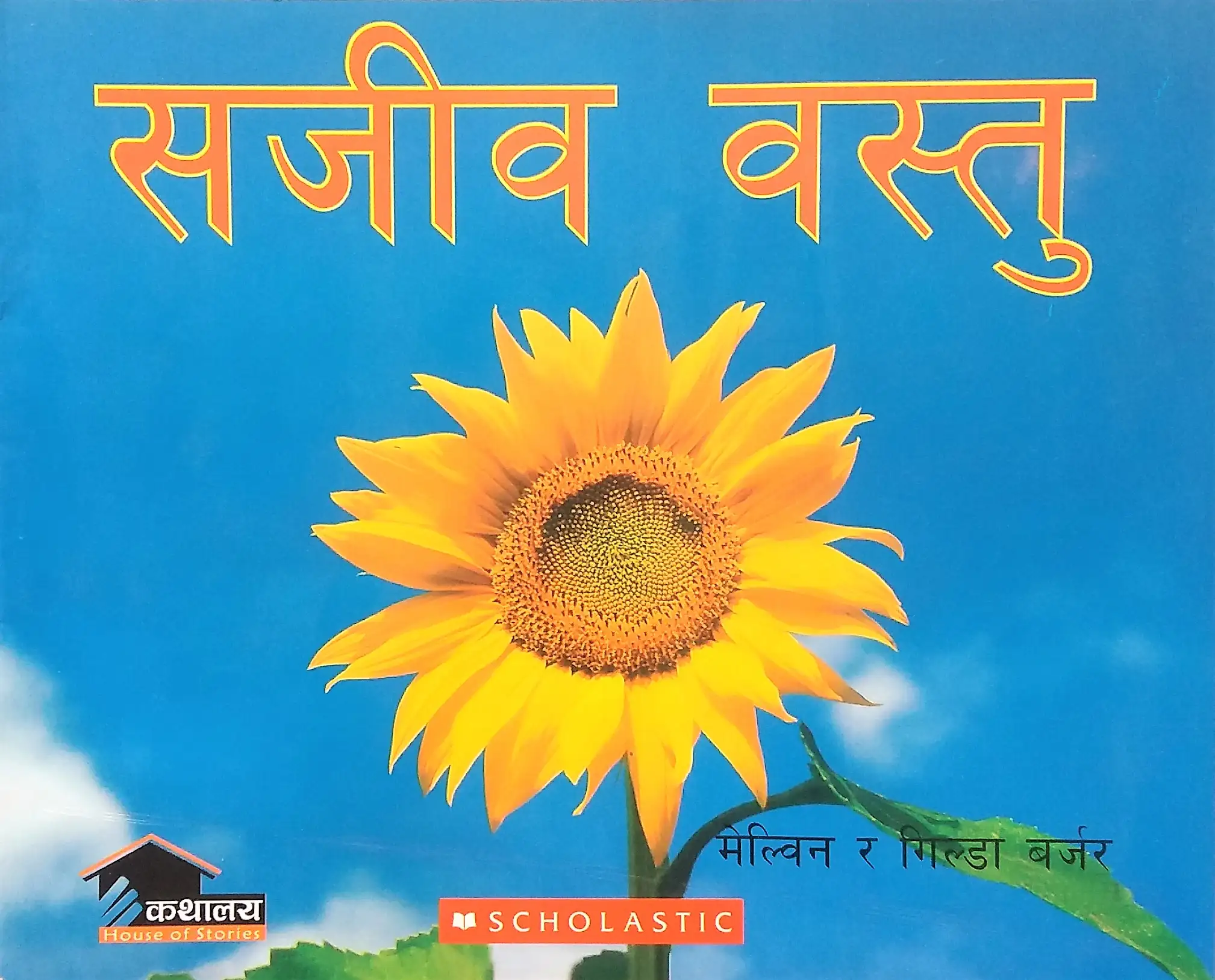 20240630020203_67939812.jpg